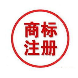 全面解析商務(wù)信息咨詢公司的注冊流程與要點
