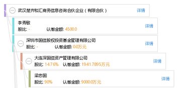 武漢楚齊和匯商務信息咨詢合伙企業(yè) 專業(yè)服務助力企業(yè)信息咨詢與管理